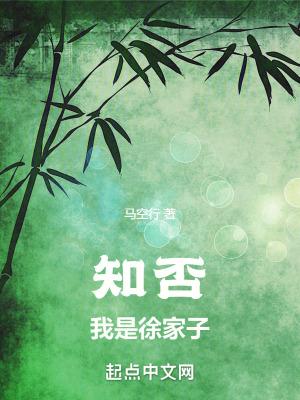 知否我是徐家子作者马空行